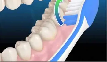 La correcta forma del cepillado (Video)