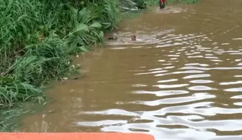 Sigue sin éxito búsqueda de niño de 4 años lanzado por otro de 7 al río La Yuca en La Victoria