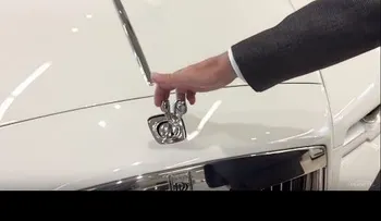 Esto les pasa a los ladrones cuando intentan robar el adorno de un Rolls Royce