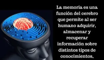 Qué comer para mejorar la memoria 