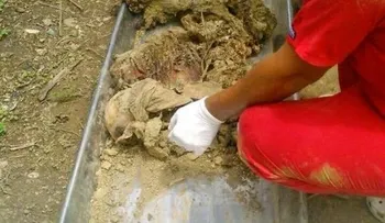 Mujer mata a golpes a su hija y la entierra en un patio