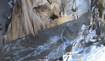 El deshielo en los Alpes reveló cadáveres de soldados de la I Guerra Mundial