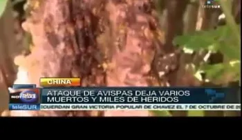 Mueren 15 y 14 heridos en ataque oeste de China
