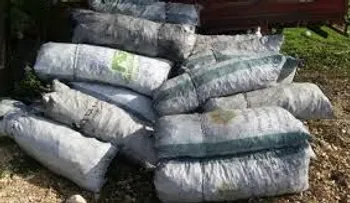 Domínguez Brito: â??El carbón ilegal debe ser perseguido como la cocaínaâ?