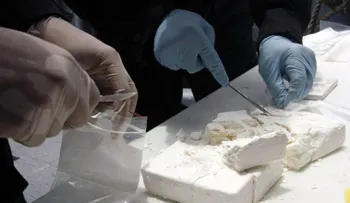 Desintegran empresa falsa reclutaba gente para un cartel de narcotráfico en México