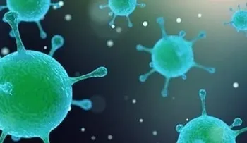 Las bacterias proliferan de forma organizada y con una misión específica 