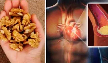Come 3 nueces, espera 4 horas y ESTO es lo que le ocurrirá a tu cuerpo