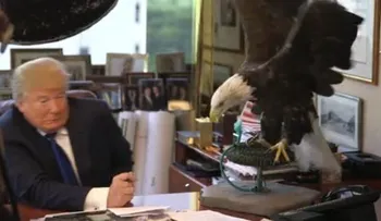 Trump: EE.UU. nunca dejará de pagar su deuda "porque es el que imprime el dinero"