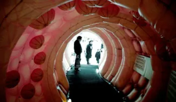 El cáncer colorrectal aumenta significativamente en los jóvenes en EEUU