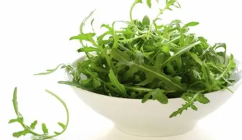 Entérate de los beneficios de comer rúcula