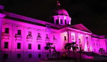 El Palacio Presidencial se ilumina de color rosa 