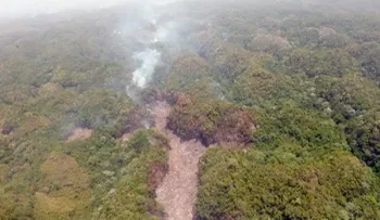 Fuegos forestales afectan Jarabacoa