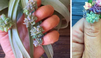 ¿Cultivarías plantas en tus uñas? Conoce esta nueva y suculenta tendencia