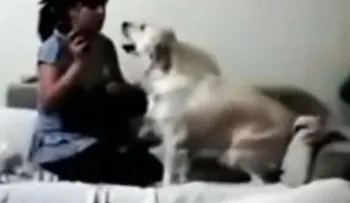 Video: Dos perros impiden que una madre castigue a su hijo pequeño