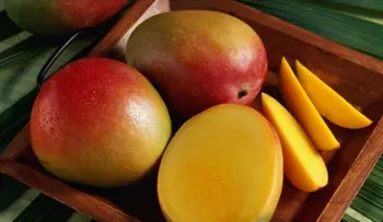 10 razones nutricionales para comer mango
