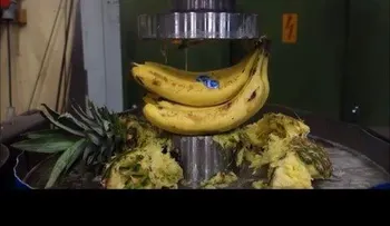 ¿Delicioso?: Así se prepara una ensalada de frutas con una prensa hidráulica