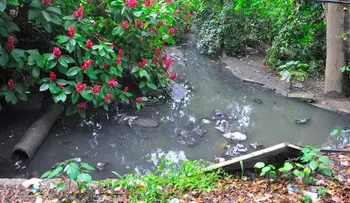 Cañada afectada por desborde  de cloaca  y por basura