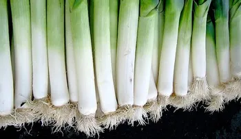 Conoce 7 beneficios del ajo porro
