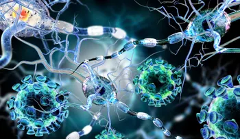 España: Mueren 26 mil 200 personas cada año por bacterias resistentes a los antibióticos 