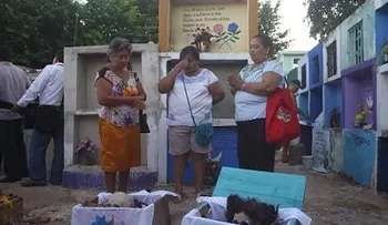 Limpian la tumba y sale el muerto de la caja