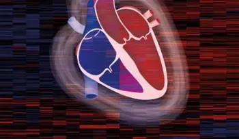 Crean el proteoma cardíaco: primer "mapa" identificará corazones buenos y malos 