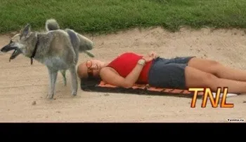 Otros VIDEOS que han sido virales
