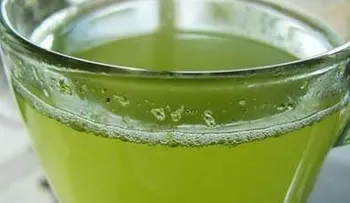 El te verde ayuda a prevenir el cáncer y retrasa el envejecimiento 