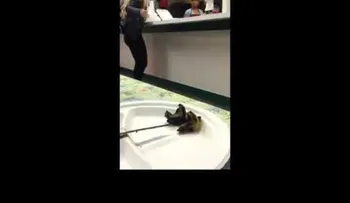 El karma castiga a una histérica mujer por su comportamiento racista en un restaurante extranjero