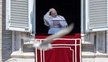 El papa anima a los jóvenes a prestar atención a los ancianos en la pandemia