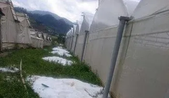 Una fuerte granizada sorprende a residentes de Constanza