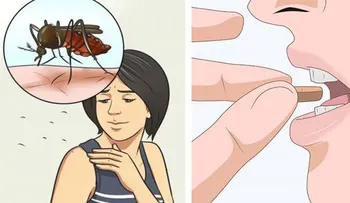 Tome esta vitamina para repeler los mosquitos durante el verano