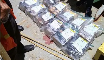 Autoridades decomisan 40 paquetes de cocaína se dirigía de Costa Rica a Inglaterra 
