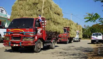 Gobierno entrega pacas de pasto y agua a ganaderos afectados por sequía