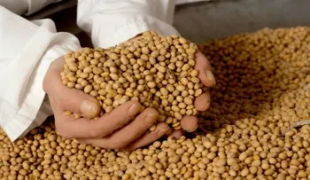 5 datos sobre beneficios de la soya 