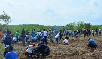 Empleados del CEA inician siembra de 35 mil árboles en San Pedro de Macorís