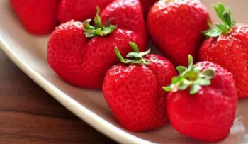Los alimentos ideales para comer luego de hacer ejercicio