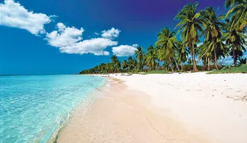 Desarrollan con éxito plan piloto sobre sarzago en playas de Uvero Alto