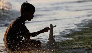 Filipinos encuentrn una horrible criatura pelada en la playa y temen un apocalipsis