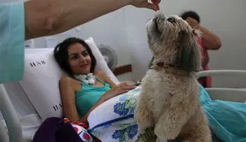 Perros ofrecen terapia en hospital brasileño