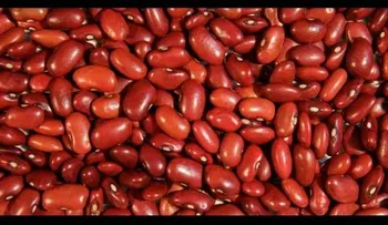 Una eficaz receta para la anemia (Video)