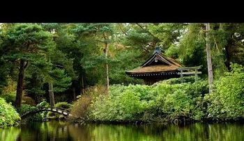 Música para dormir de meditación y relajación 