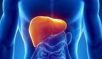 Protege tu salud hepática con estos sabios consejos