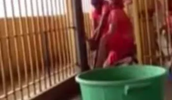 Un preso grabó la fuga de 11 reclusos en cárcel de Brasil