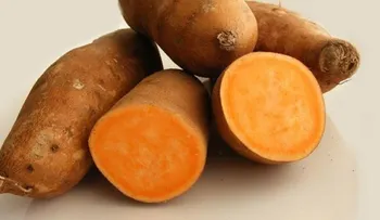 Conozca 10 beneficios de la batata 