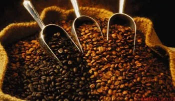 RD y Centroamérica recibirán US$500 mil para combatir roya del café