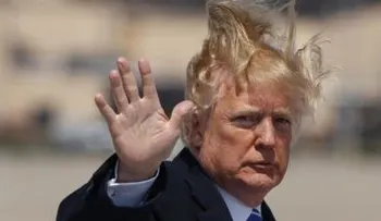 Hallan muerta criatura marina similar al "peluquín" de Donald Trump