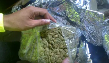 Profesora come galleta con marihuana sin saberlo 