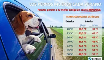 Advertencia policial: Nunca dejes a tu perro encerrado en el vehículo