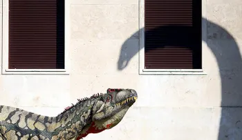 Los dinosaurios pueden regresar a la Tierra en 2050
