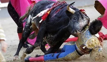 FUERTES IMAGENES: El toro lo arrolló y totalmente enloquecido, le propinó repetidas cornadas (18+)